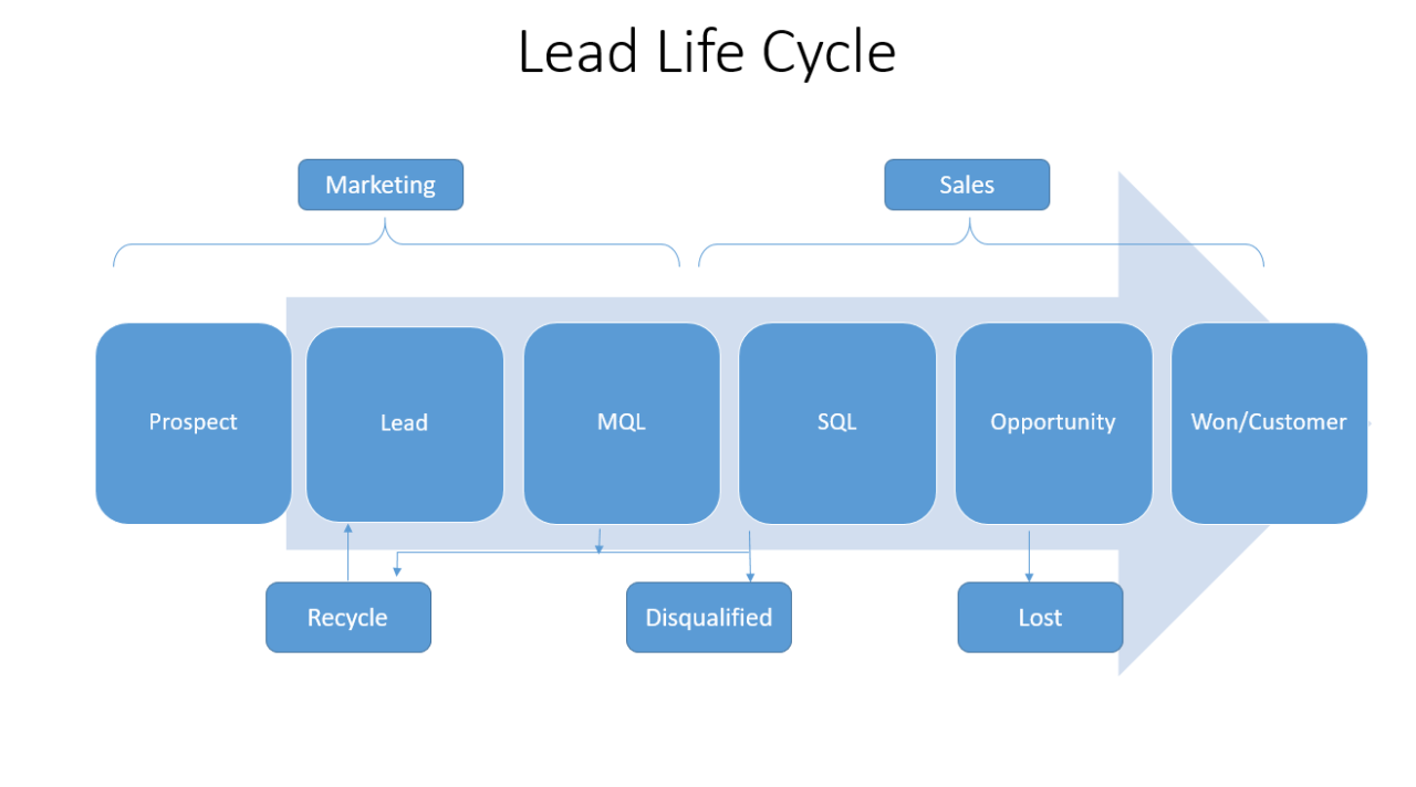 Lead Life Cycle