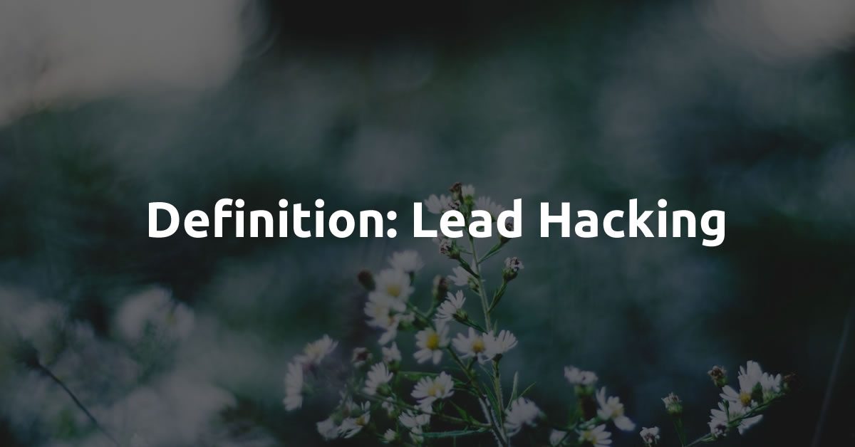 definition Lead Hacking social