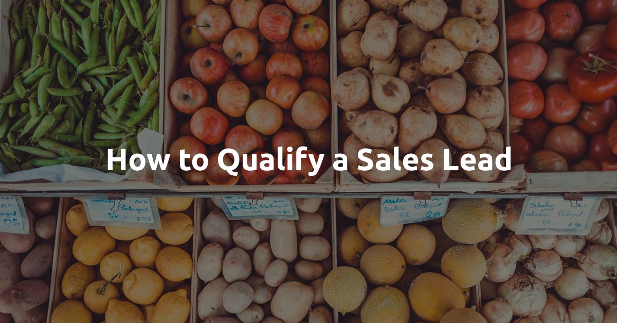 qualify a sales lead social